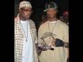 Papoose - Fitted Hat Low