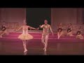 the sleeping beauty act 3 grande pas