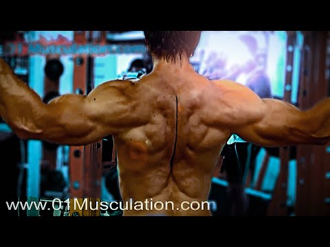 entrainement musculation force