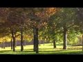 Video Agradecimiento Mertxe Arza 1de2.flv
