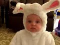 Charlotte decides she doesn't like Halloween