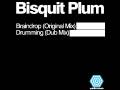 videos de Bisquit Plum - Braindrop [Quimika Records]