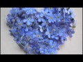 Просмотр видео