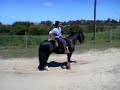Crioulo esbarrando Crioulo esbarrando
