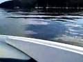 videos de Bayliner 185 - Fast