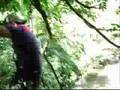 Ver Video