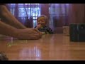 Unbelievable laughing baby... again...