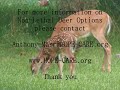 hunting facts  and  myths