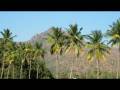 videos de SP Balasubramaniam -arunachalam yenum -