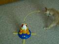 Otto and Garfield