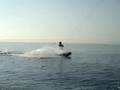 videos de Bobby du wake!!
