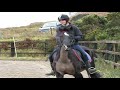 Argyll trail riding competition