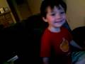 dominic watching the badger badger badger web site
