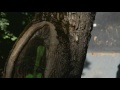 Click here to watch this video Vanya Mezencev