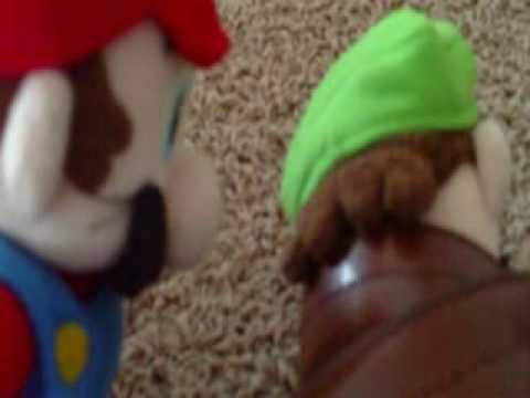 Mario and Luigi