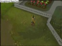 Skillcape Emotes Skillcape Emotes