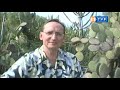 wojciech-cejrowski-o-cudzie-part-1.html