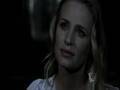 supernatural-home-wake me up when september ends