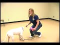 Dog Tricks : Drop It Dog Trick Dog Tricks : Drop It Dog Trick