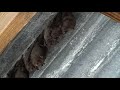 Reef Bay Coastal Hike Part 2 Reef Bay Coastal Hike Part 2