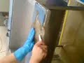 turbot fillets