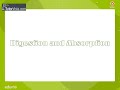 Watch 'Digestion and Absorption '