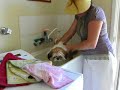 My cute dog (mia) swimming in thin air