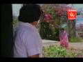 Kannada Song - Hoovinda Hoovige - S.Janaki Hits