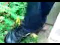 Mijn Youtube: Tering Banaan!.3gp