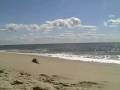 Ocean dreams