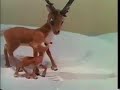 Godzilla versus Rudolph