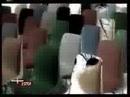 solarmoon djs vs uli sigg/iv (16. juni 2001)

1.dschungelbuch crew 