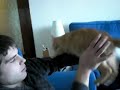 isi2.MOV