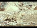 Hamish Owns' Playing Dead Montage: MW2 Stealth