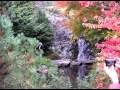 Queen Elizabeth Park - Vancouver