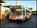 Santa Monica Blue NABI 040-LFW LNG # 4012