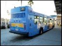 Santa Monica Blue NABI 040-LFW LNG # 4012