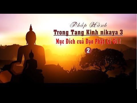Pháp Hành Trong Tạng Kinh NIKAYA 3 - Mục Đích của Đạo Phật Là Gì 2 ?