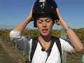 Wine Mini Doco