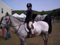 Razz The Wonder Pony