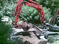 Mini excavator bamboo removal Mini excavator bamboo removal