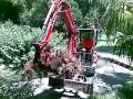 Mini excavator bamboo removal