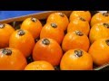 Videos Videos