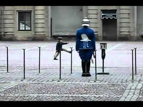 Видео 'Маленький защитник :)'