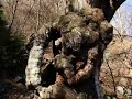 Tessin Leventina Rene Aubry ( Part 2)