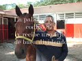 Hipismo Online mensajeria 872