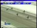 videos de Hipismo Online mensajeria 872