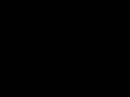 tribute to salsamania: ikan