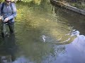 quarrata pesca in torrente di s.a 1 parte