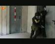 SEK (Show-)Training | Swat Action